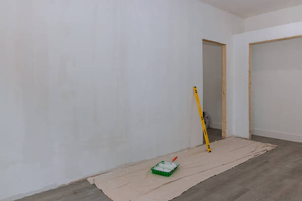 Reliable Alvin, TX Mold Removal Solutions
